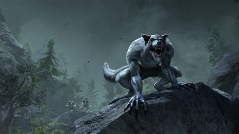Werewolf curse teaser